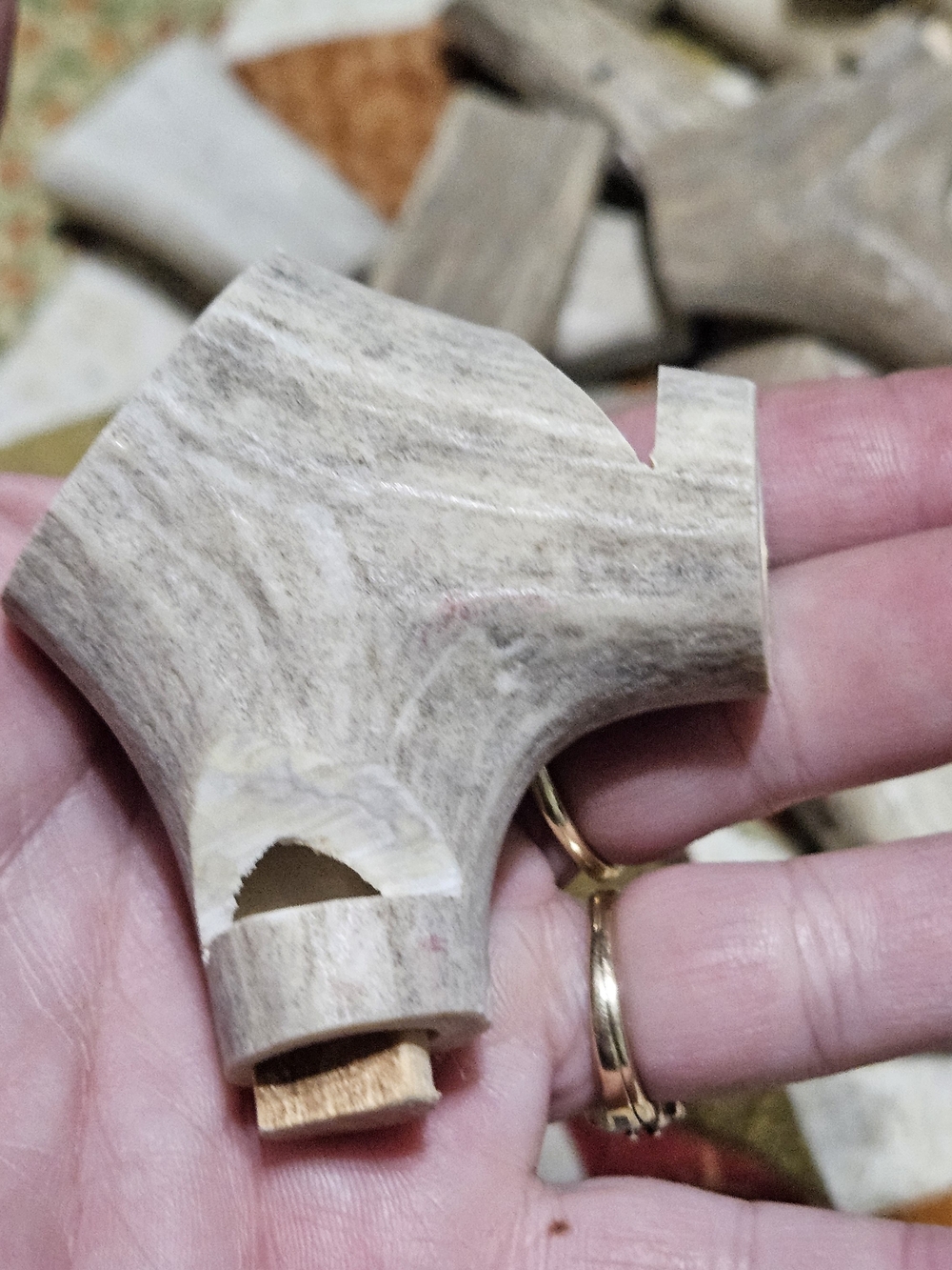 Natural Deer Antler Whistles?Accents? Cut And Drilled – Neutral Gray/Brown - Picture 8 of 16